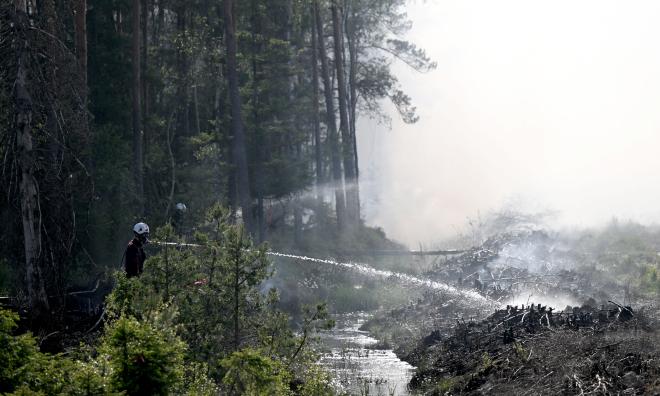 Det råder risk för skogsbrand i stora delar av Sverige. Arkivbild