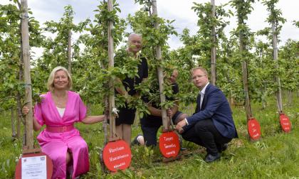 Barabara Heinonen, Anna och Jan Alm och Niko Micklin.