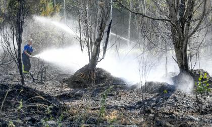 150822 , 15082022 , 20220815 , Markbrand i Torp,
Hammarland , Branden orsakades av en skördetröska som
gjorde underhållsarbete på en åkermark tog eld i åkern o sen i kringliggande skog , brand , brandkår , släckningsarbete , frivillga brandkåren , brandkår