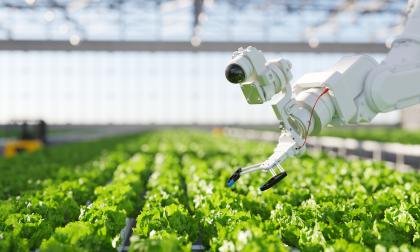 Automation and robotics in hydroponic farming