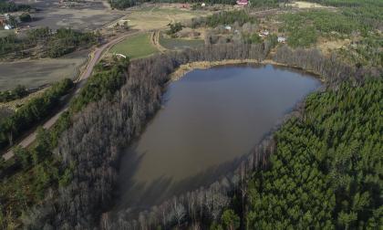 Insjön Träsk i Finby, Sund kan tömmas våren 2025 om föreningen Rädda Lumparns planer förverkligas. Vattnet leder ut i Lumparn via Finbydiket.<@Fotograf>Robert Jansson