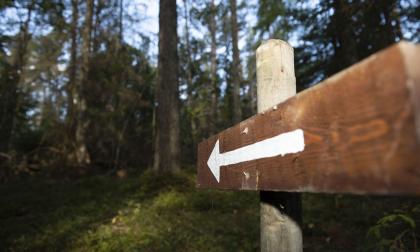 Jomala kommun vill röja upp en naturstig vid Stormossen i Gottby. Bilden visar en annan plats.@Normal_indrag:<@Fotograf>Hülya Tokur-Ehres