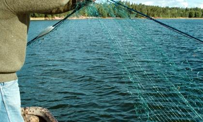 Det finns ett starkt engagemang på Åland för vår miljö. Ett nedärvt engagemang där kunnandet är starkt förknippat till det privata ägandet. Det engagemanget måste landskapsregeringen ta vara på om målet om utökade skyddsområden ska bli verklighet. 
Robert Jansson 