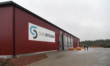 Två tjänster försvinner när Svinryggen gör om i sin verksamhet inför 2024.