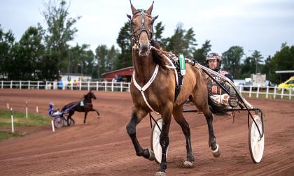 Lukanos och Claes Sjöström tog den enda hemmasegern i lördagens travtävlingar på Norrböleovalen.<@Fotograf>Amir Karbalaei