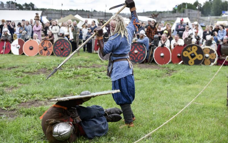 Viking Marknad