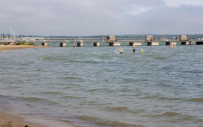 Lilla Holen, badstrand, bad, bakterier, varning för bad på lilla holmen, sommar, Cajsa Borgström