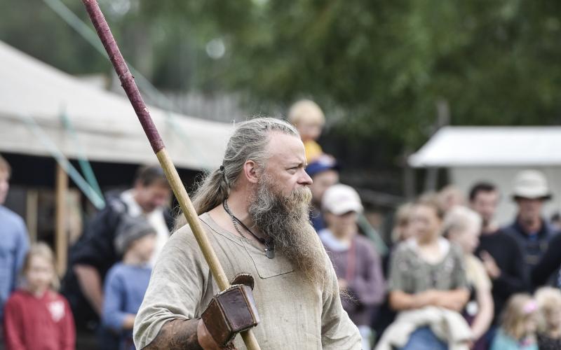 Viking Marknad