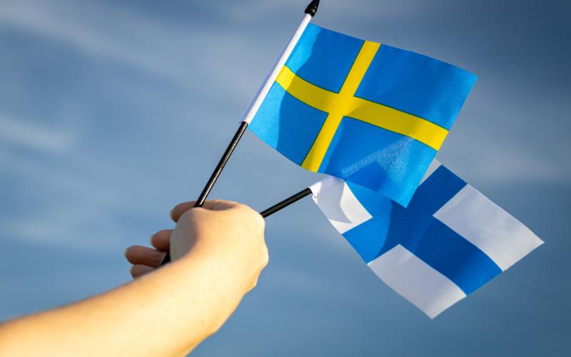 the flags of Finland and Sweden against the sky, The concept of the joint accession of both countries to the ranks of the defense alliance