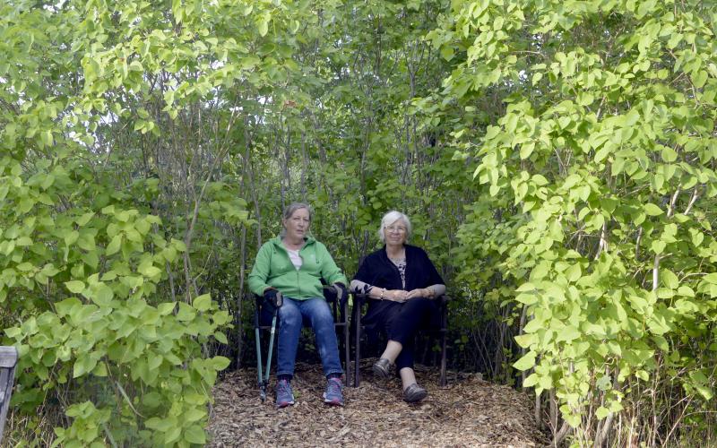 DIO, retreatgården Källan, Den vita syrenbersån, Tua Storfors, Marie-Louise Nordberg