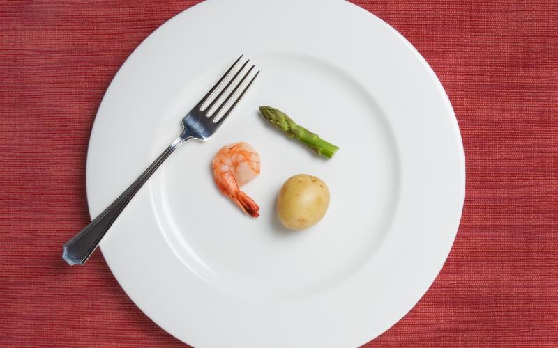 "tiny meal consisting of one shrimp, a tiny potato, and a single short asparagus stalk"