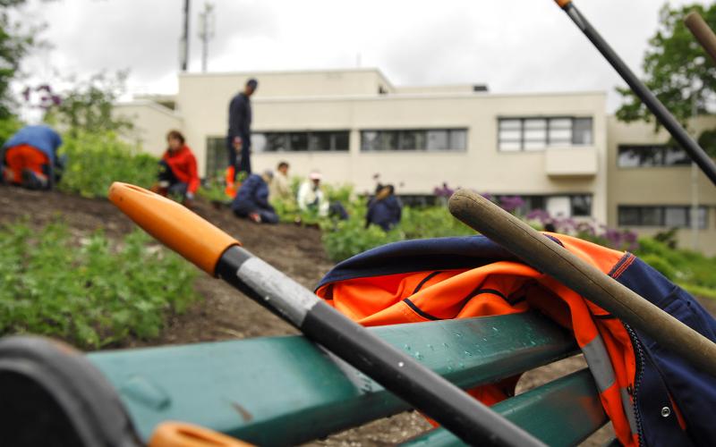 sommarjobbare, parkarbetare, säsongsjobb, genre, arbete, jobb *** Local Caption *** @Bildtext:Sommarjobbare bör se upp så att de fått ett ordentligt arbetsavtal där saker som måltider och löner finns bestämda.@Foto:Jacob Saurén