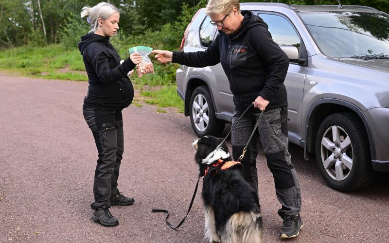 Åsa Törnroos hjälper Christel Sundman och Enya med att få ordning på belöningen.