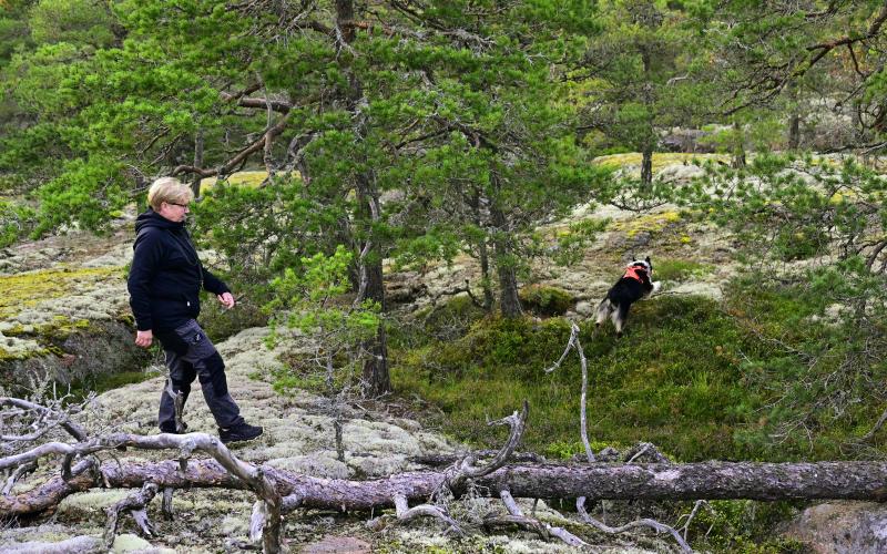 Christel Sundman följer Enya i skogen.