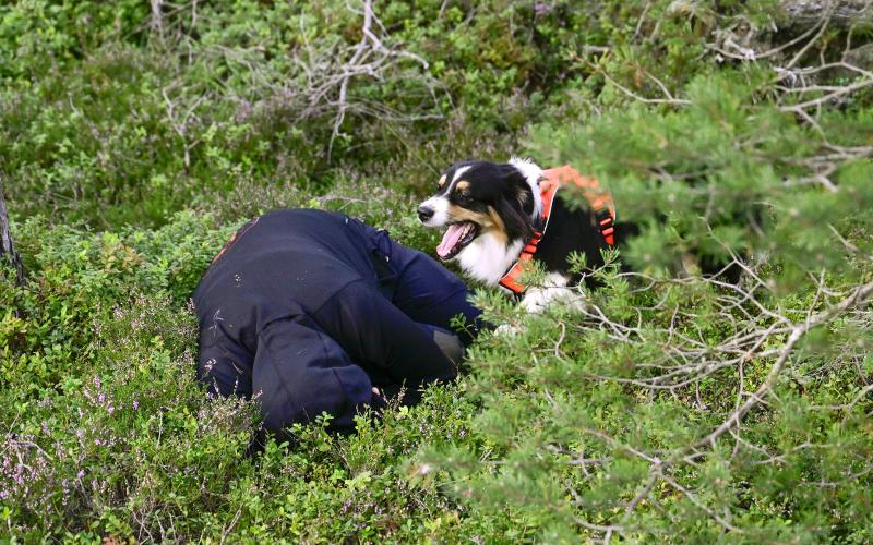 Enya har hittat figuranten hon sökte.