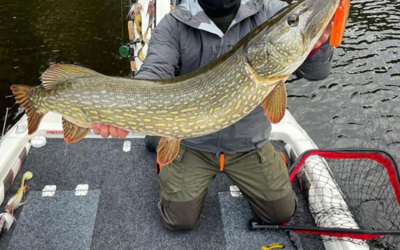 Johannes Nordenholm med den mäktiga gäddhonan på 9,5 kilo som han tog med sitt egentillverkade drag.