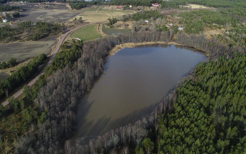 Insjön Träsk i Finby, Sund kan tömmas våren 2025 om föreningen Rädda Lumparns planer förverkligas. Vattnet leder ut i Lumparn via Finbydiket.<@Fotograf>Robert Jansson