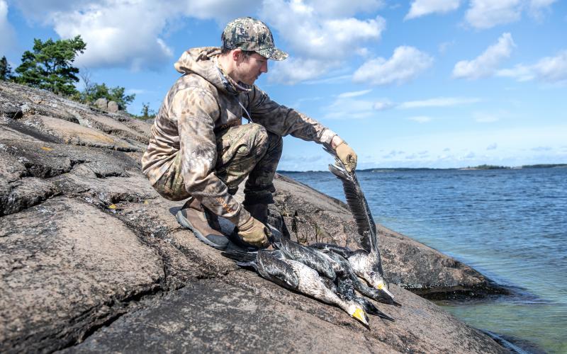 André Geelnard hade bättre jaktlycka tillsammans med Mikael Hassel. De lyckades skjuta flera skarvar.