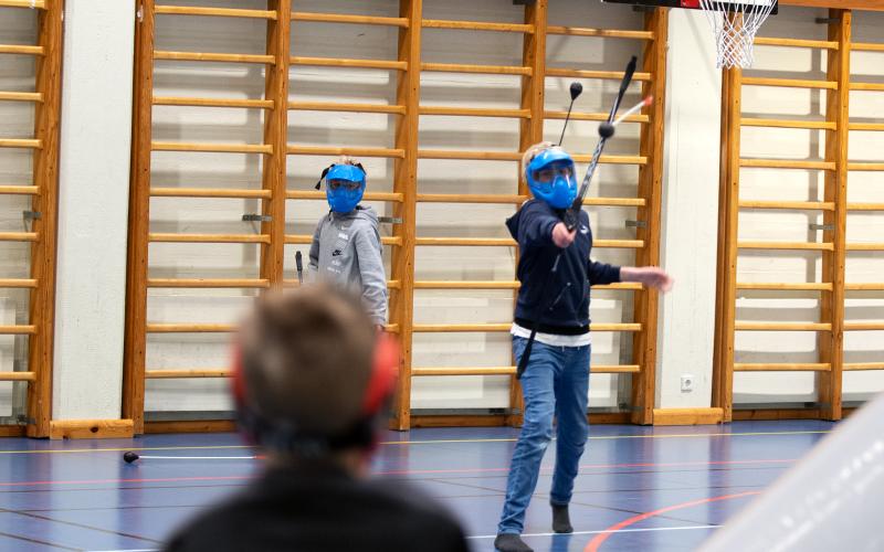 Archery tag är ett spel som ursprungligen kommer från USA. På senare år har det blivit populärt även i andra delar av världen.