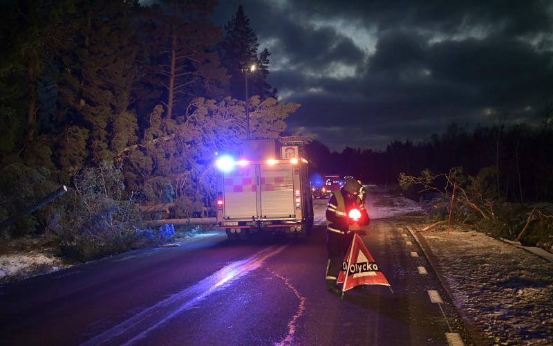 Fem år Sedan Alfrida | Ålandstidningen