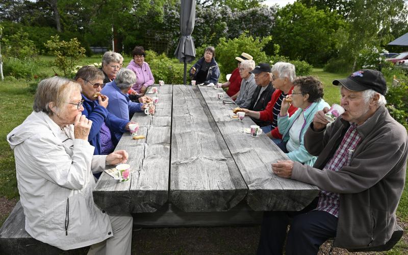 Auktionspubliken hinner prata och dricka kaffe innan det är dags för auktion.@Normal_indrag:<@Fotograf>Robert Jansson