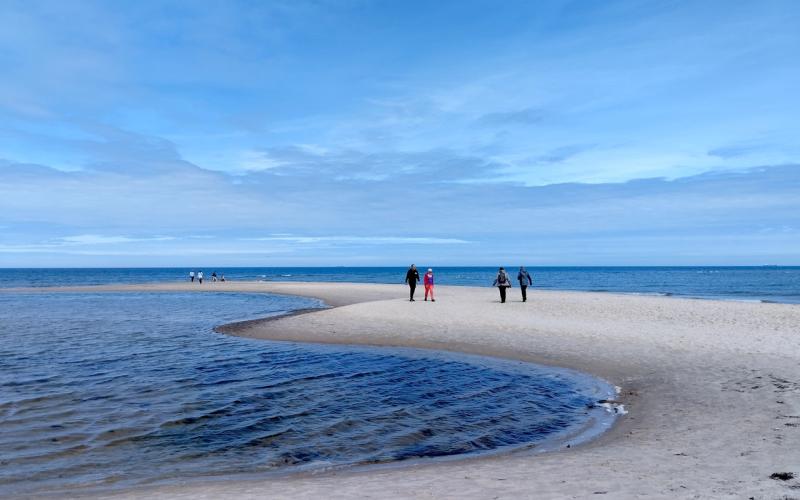 Skagen har med sina vackra vyer genom seklen lockat konstnärer.