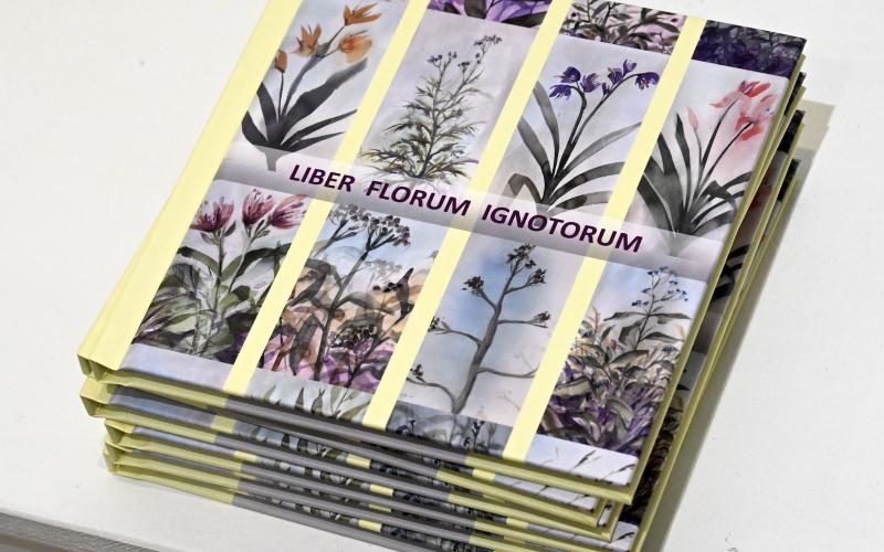 I samband med utställningen släpper Kjell Ekström boken "Liber Florum Ignotorum", som finns att köpa i galleriet. Robert Jansson. 