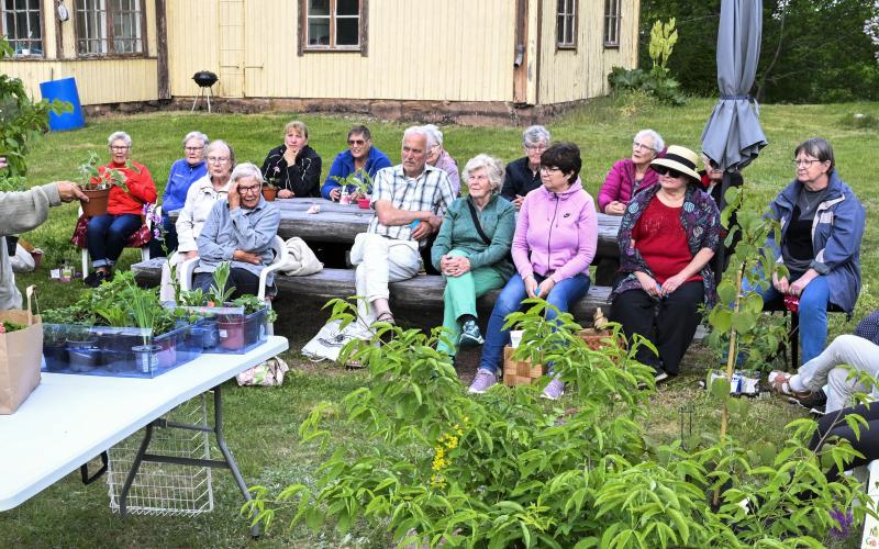 Runt 20 personer kom till sticklingsauktionen i Eckerö.@Normal_indrag:<@Fotograf>Robert Jansson