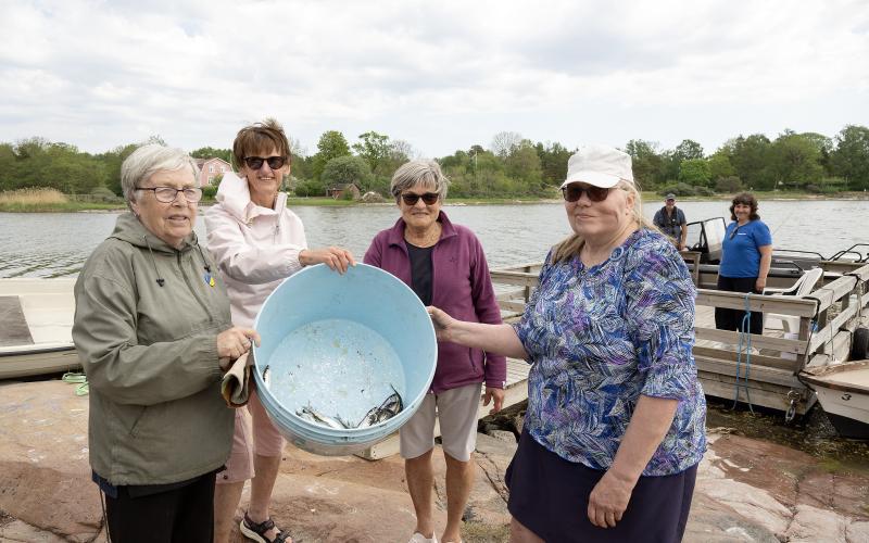 Fyra damer har varit och ryckt strömming. Från vänster Gunnel Ekelund, Monica Liljeblad, Kerstin Elevall och Anki Johansson.@Normal_indrag:<@Fotograf>Daniel Eriksson