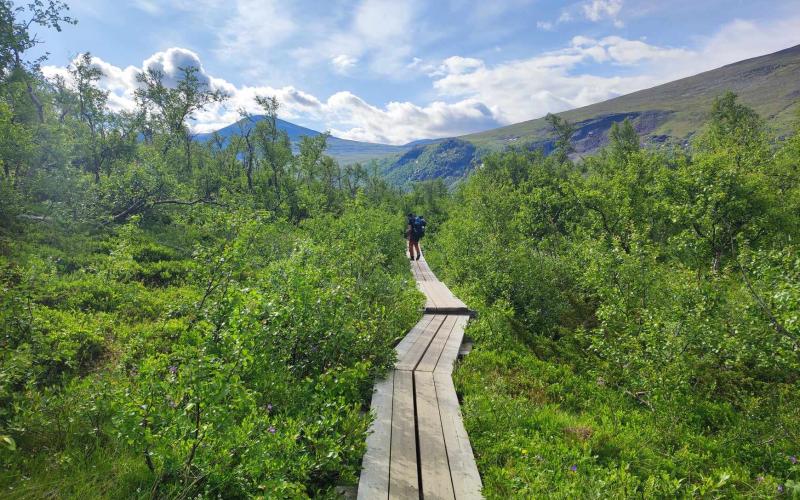 Vandringen från Kebnekaise tillbaka till Nikkaluokta.