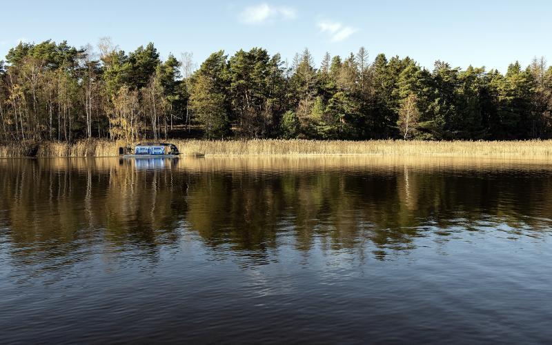 Mellanvik i Lemland hör till de områden där vassen breder ut sig allt mer.