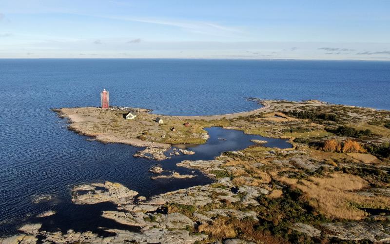 321 fågelarter har siktats på Lågskär under årens lopp. Ön ligger på delad förstaplats i Finland vad gäller antal arter.