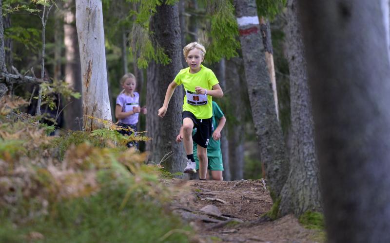 Banan var ställvis utmanande med mycket klättring, hala berg, stockar och stenar.