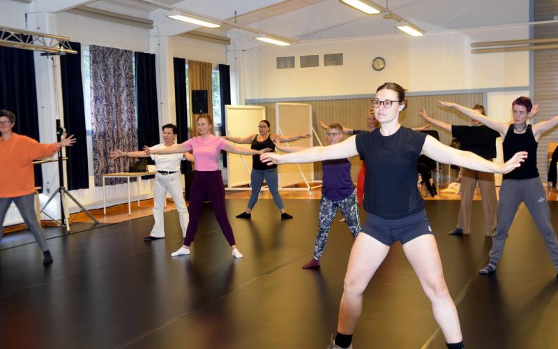 Showdansen lockade runt tio deltagare. Från vänster Erika Wiklund-Mörn, Tatijana Nasarenko, Olga Rogova, Channa Öhman, Nathalie Dragonwitch, Karolina Viltblom och Shane Nilsson.@Normal_indrag:<@Fotograf>Nina Eriksson