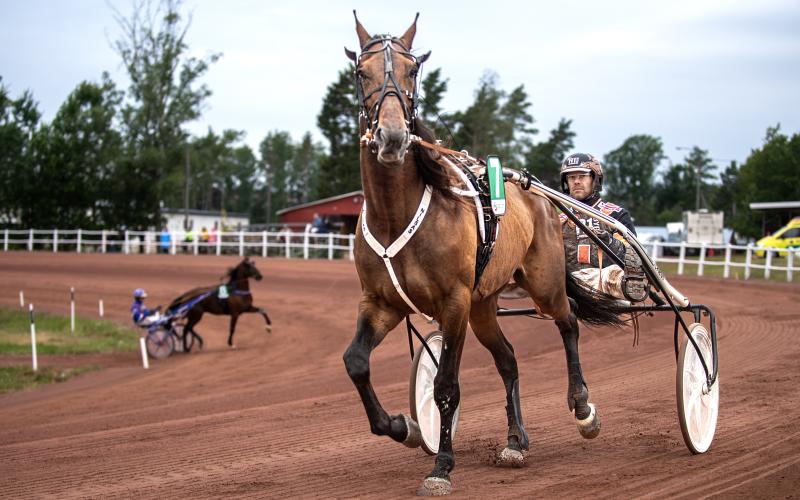 Lukanos och Claes Sjöström tog den enda hemmasegern i lördagens travtävlingar på Norrböleovalen.<@Fotograf>Amir Karbalaei