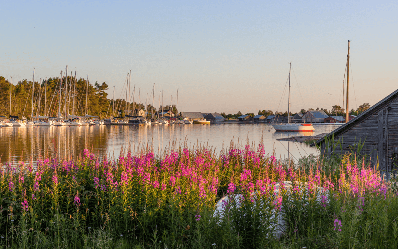 Omvårdnadsledare till Eckerö kommun